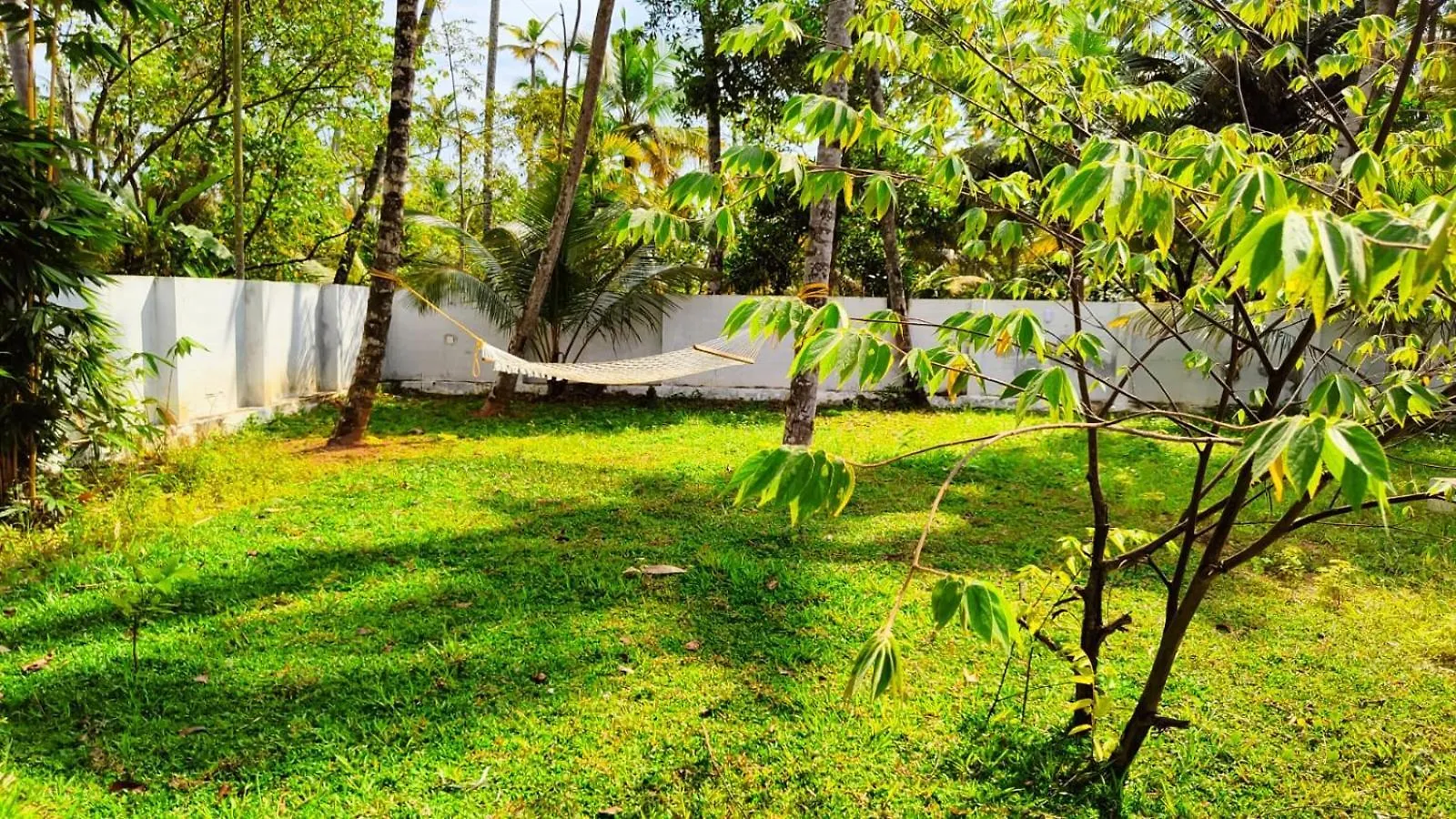 Resort Hotel The Royal Island Mundrothuruth